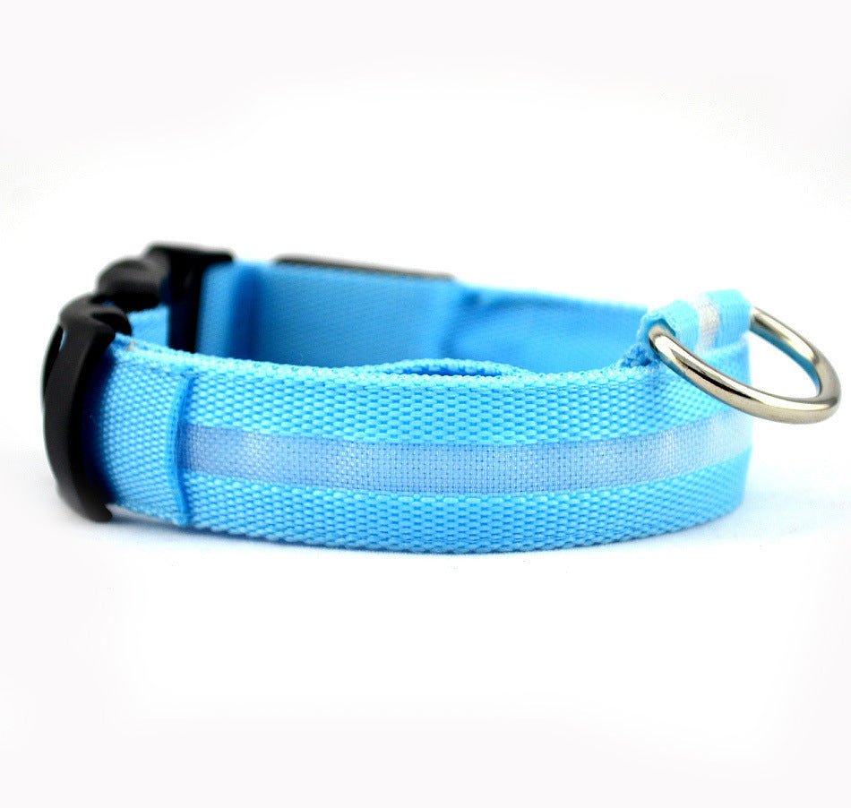 Collier LED de Sécurité pour Chien – Visibilité Nocturne