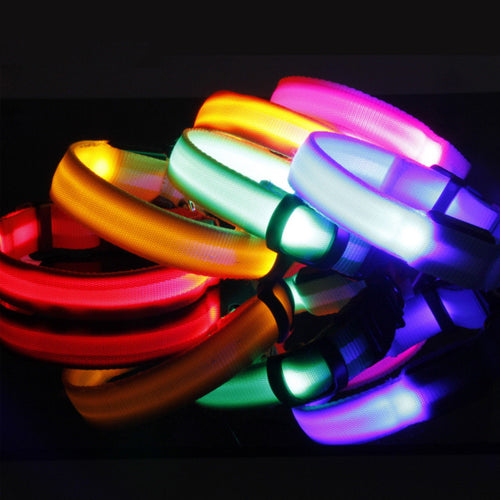 Collier LED de Sécurité pour Chien – Visibilité Nocturne