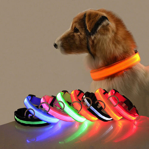 Collier LED de Sécurité pour Chien – Visibilité Nocturne