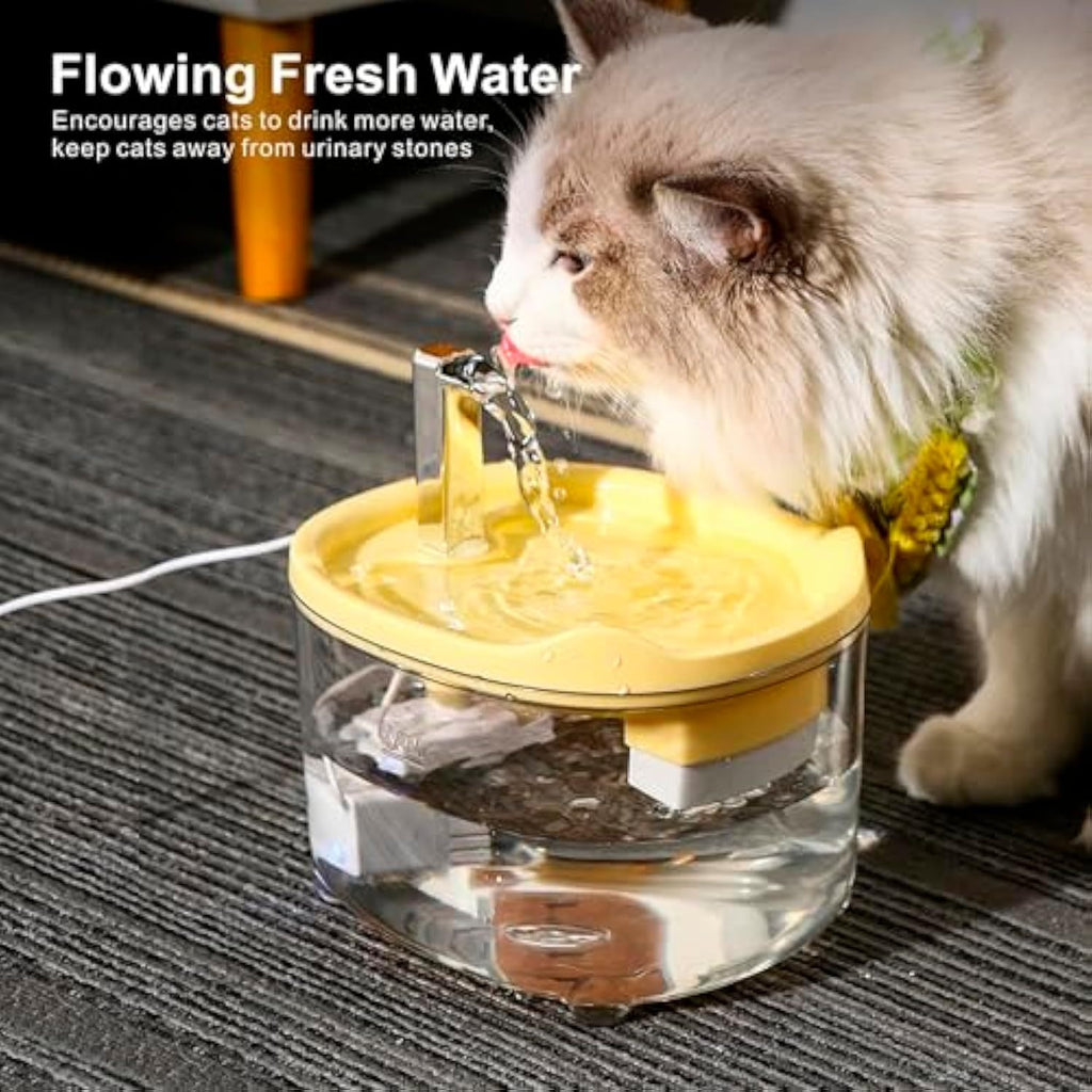 Fontaine à eau 1,5 L pour chat