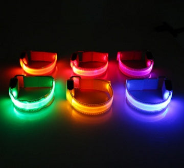 Collier LED de Sécurité pour Chien – Visibilité Nocturne
